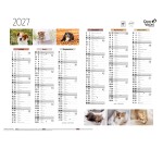 Quo Vadis - Calendrier mural - 2027 - Français - Fantaisie - Animaux - 12 mois de janvier à décembre - 55x40,5 cm - par 10