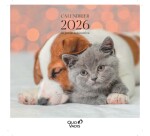 Quo Vadis - Calendrier à feuillets - Spiralé - 2026 - Français - Fantaisie - Multicolore - 12 mois de janv à déc. - 30x30 cm - par 5