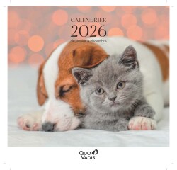 Quo Vadis - Calendrier à feuillets - Spiralé - 2026 - Français - Fantaisie - Multicolore - 12 mois de janv à déc. - 30x30 cm - par 5