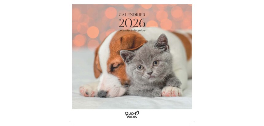 Quo Vadis - Calendrier à feuillets - Spiralé - 2026 - Français - Fantaisie - Multicolore - 12 mois de janv à déc. - 30x30 cm - par 5