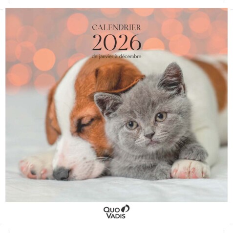 Quo Vadis - Calendrier à feuillets - Spiralé - 2026 - Français - Fantaisie - Multicolore - 12 mois de janv à déc. - 30x30 cm - par 5