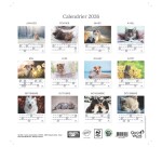 Quo Vadis - Calendrier à feuillets - Spiralé - 2026 - Français - Fantaisie - Multicolore - 12 mois de janv à déc. - 30x30 cm - par 5