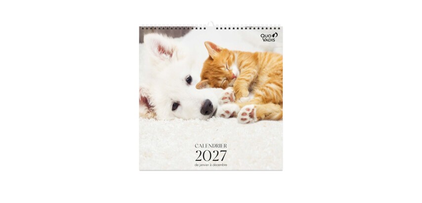 Quo Vadis - Calendrier à feuillets - Spiralé - 2027 - Français - Fantaisie - Animaux - 12 mois de janvier à décembre - 30x30 cm