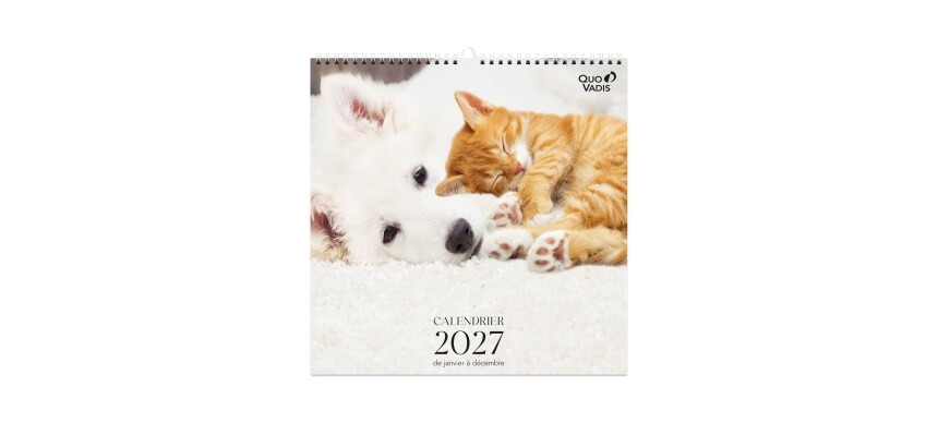 Quo Vadis - Calendrier à feuillets - Spiralé - 2027 - Français - Fantaisie - Animaux - 12 mois de janvier à décembre - 30x30 cm