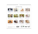 Quo Vadis - Calendrier à feuillets - Spiralé - 2027 - Français - Fantaisie - Animaux - 12 mois de janvier à décembre - 30x30 cm