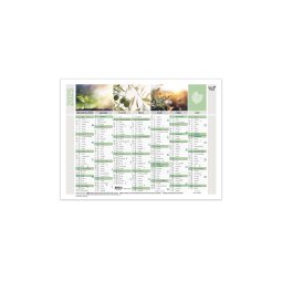 Calendrier Quo Vadis - Français - Equology - 14 mois de Déc/Janv - 18x13,5 cm par 10