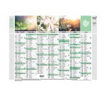 Quo Vadis - Calendrier mural - 2026 - Français - Equology - Multicolore - 14 mois de décembre à janvier - 18x13,5 cm -  recyclé - par 10