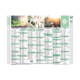 Quo Vadis - Calendrier mural - 2026 - Français - Equology - Multicolore - 14 mois de décembre à janvier - 18x13,5 cm -  recyclé - par 10