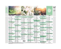 Quo Vadis - Calendrier mural - 2026 - Français - Equology - Multicolore - 14 mois de décembre à janvier - 18x13,5 cm -  recyclé - par 10