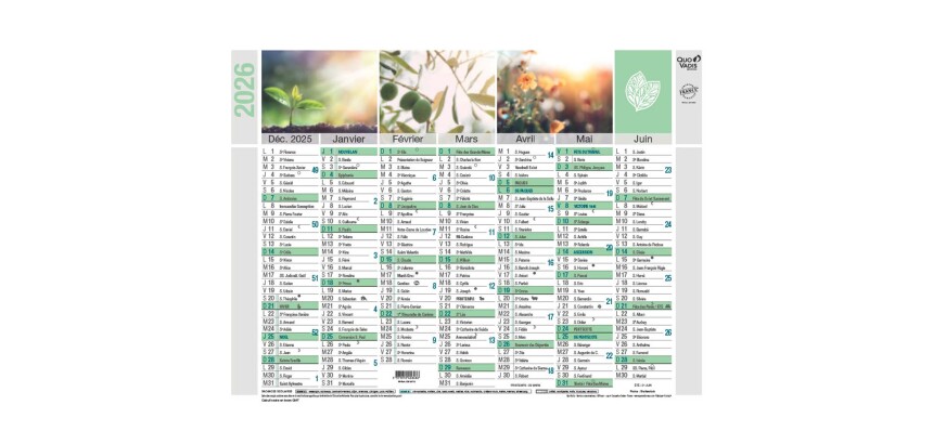 Quo Vadis - Calendrier mural - 2026 - Français - Equology - Multicolore - 14 mois de décembre à janvier - 18x13,5 cm -  recyclé - par 10