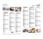 Quo Vadis - Calendrier mural - 2026 - Français - Fantaisie - Multicolore - 12 mois de janv à déc. - 43x33,5 cm - par 10