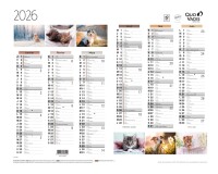 Quo Vadis - Calendrier mural - 2026 - Français - Fantaisie - Multicolore - 12 mois de janv à déc. - 43x33,5 cm - par 10