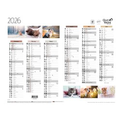 Quo Vadis - Calendrier mural - 2026 - Français - Fantaisie - Multicolore - 12 mois de janv à déc. - 43x33,5 cm - par 10