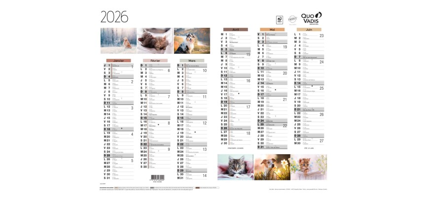 Quo Vadis - Calendrier mural - 2026 - Français - Fantaisie - Multicolore - 12 mois de janv à déc. - 43x33,5 cm - par 10