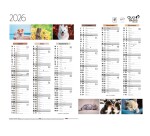 Quo Vadis - Calendrier mural - 2026 - Français - Fantaisie - Multicolore - 12 mois de janv à déc. - 43x33,5 cm - par 10