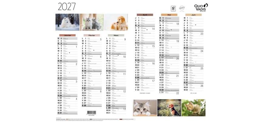 Quo Vadis - Calendrier mural - 2027 - Français - Fantaisie - Animaux - 12 mois de janvier à décembre - 43x33,5 cm - par 10