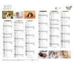 Quo Vadis - Calendrier mural - 2027 - Français - Fantaisie - Animaux - 12 mois de janvier à décembre - 43x33,5 cm - par 10