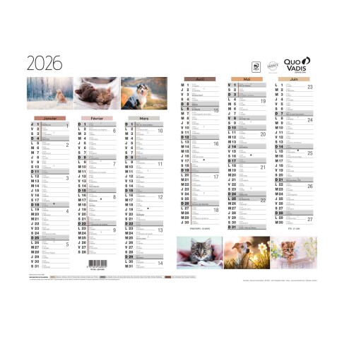 Quo Vadis - Calendrier mural - 2026 - Français - Fantaisie - Multicolore - 12 mois de janv à déc. - 27x21 cm - par 10