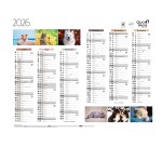 Quo Vadis - Calendrier mural - 2026 - Français - Fantaisie - Multicolore - 12 mois de janv à déc. - 27x21 cm - par 10