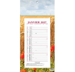 Quo Vadis - Bloc mensuel - 2027 - Français - Fantaisie - Blé - 12 mois de janvier à décembre - 16x33,5 cm