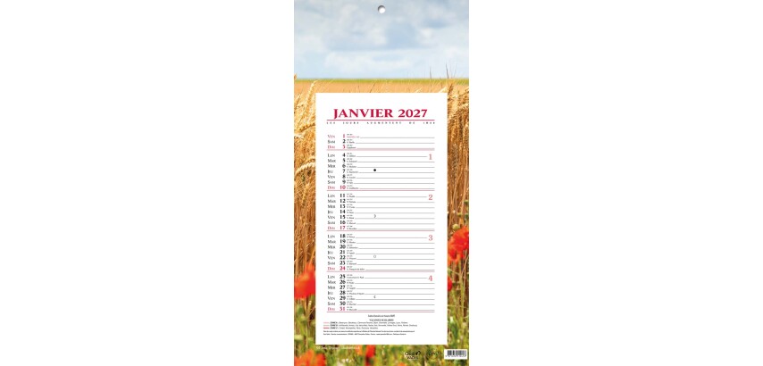 Quo Vadis - Bloc mensuel - 2027 - Français - Fantaisie - Blé - 12 mois de janvier à décembre - 16x33,5 cm