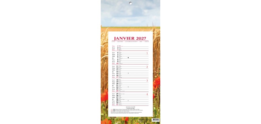 Quo Vadis - Bloc mensuel - 2027 - Français - Fantaisie - Blé - 12 mois de janvier à décembre - 16x33,5 cm