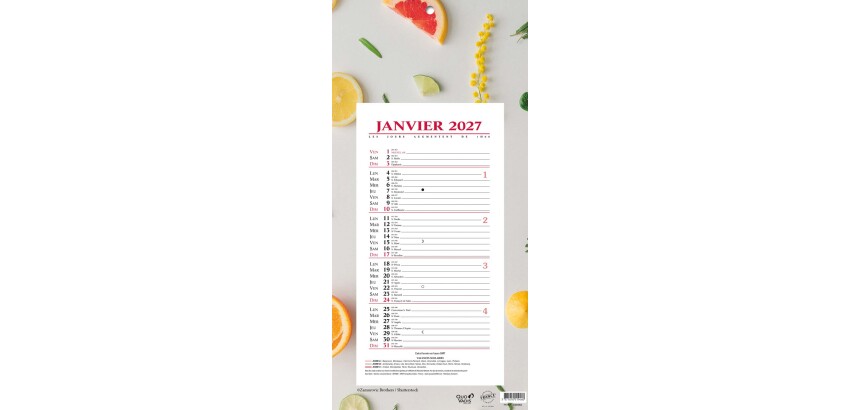 Quo Vadis - Bloc mensuel - 2027 - Français - Fantaisie - Agrumes - 12 mois de janvier à décembre - 16x33,5 cm
