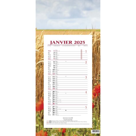 Calendrier Bloc mensuel Quo Vadis - Français - Fantaisie - 12 mois de Janv/Déc - 16x33,5 cm par 10 - Ble