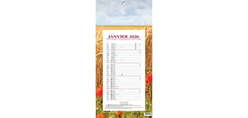 Quo Vadis - Bloc mensuel - 2026 - Français - Fantaisie - Multicolore - 12 mois de janv à déc. - 16x33,5 cm - par 10