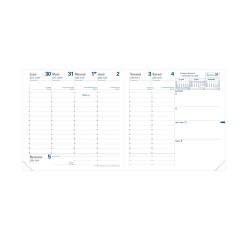 Quo Vadis - Recharge Agenda année scolaire - 2025-2026 - Exécutif Septembre - Semainier Planning - Français - 13 mois de août à août - 16x16 cm