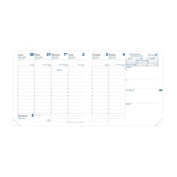Quo Vadis - Recharge Agenda année scolaire - 2025-2026 - Exécutif Septembre - Semainier Planning - Français - 13 mois de août à août - 16x16 cm