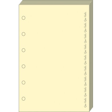 Bloc notes T14 Quo Vadis Recharge Ivoire - 8x12,5 cm