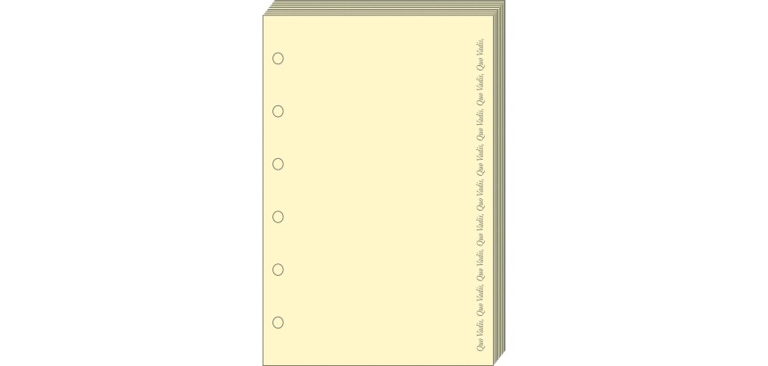 Quo Vadis - Recharge Organiseur - BLOC-NOTES T17 Ivoire - 10x17 cm Papier Clairefontaine ivoire -