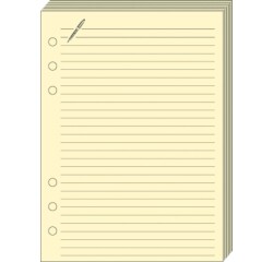 Quo Vadis - Recharge Organiseur - FICHES NOTES T17 ivoire 10x17 cm Papier Clairefontaine ivoire