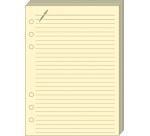 Quo Vadis - Recharge Organiseur - FICHES NOTES T21 Ivoire - 15x21 cm