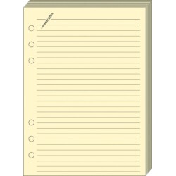 Quo Vadis - Recharge Organiseur - FICHES NOTES T29 Ivoire - 21x29,7 cm
