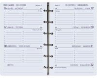 Agenda Moderne - Recharge Organiseur tranche dorée - 2027 - INT 9213SEM - 13 SEM - Semainier Horizontal - Multilingue - 12 mois de janvier à décembre - 8,5x13 cm