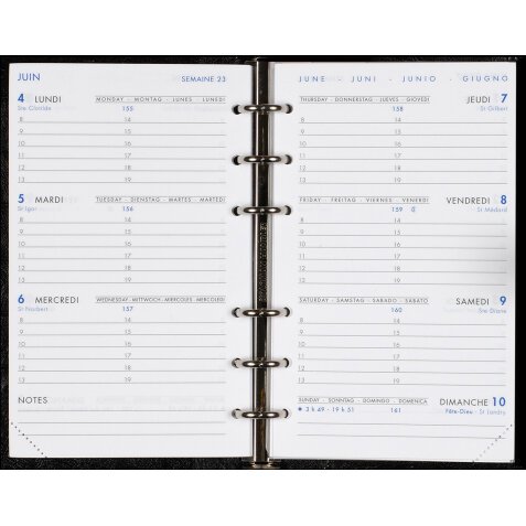 Agenda Moderne Semainier Hebdoplan Recharge - Multilingue - 12 mois de Janv/Déc - 8,7x15,3 cm - tranche dorée