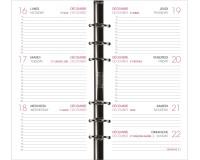 Agenda Moderne - Recharge Organiseur - 2026 - Semainier Horizontal - Multilingue - 12 mois de janv à déc. - 10x17 cm - tranche dorée