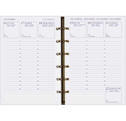 Agenda Moderne - Recharge Organiseur tranche dorée - 2027 - INT 392 - EUROPE - Semainier Horizontal - Multilingue - 12 mois de janvier à décembre - 8,7x13,6 cm