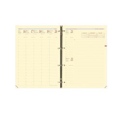 Agenda Semainier Timer Prestige Recharge Quo Vadis - Français - 16 mois de Sept/Déc - 21x29,7 cm