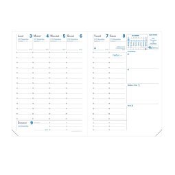 Quo Vadis - Ricambio Agenda - 2025 - Rigiro - Settimana Planning  taglio dorato- Italiano - 13 mesi da dic a dic - 9x12,5 cm