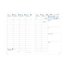 Quo Vadis - Ricambio Agenda taglio dorato- 2025 - Affari - Settimana Planning - Italiano - 13 mesi da dic a dic - 10x15 cm