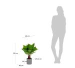 Planta artificial Anthurium con maceta de cemento 50 cm