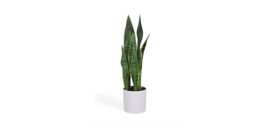 Planta artificial Sansevieria con maceta blanco 55 cm
