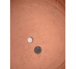 Lot de 2 pots avec soucoupe en terre cuite Karlina Ø 33 cm / Ø 24 cm