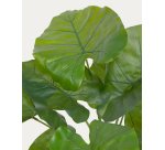 Plante artificielle Alocasia Odora avec pot noir 57 cm