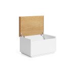 Étagère Abilen en placage de chêne 60 x 40 cm