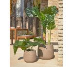 Plante artificielle Alocasia Odora avec pot noir 57 cm