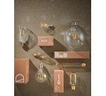 Ampoule LED Bulb E14 de 4W et 35 mm lumière chaude